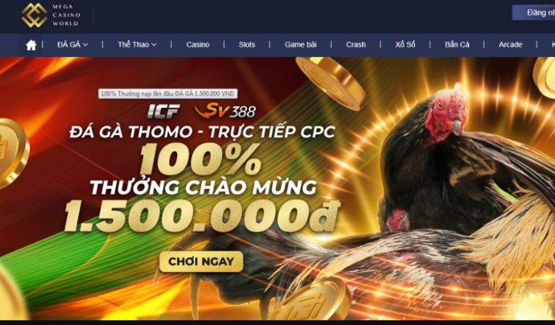 Đá Gà mang đến những trận chiến đầy căng thẳng